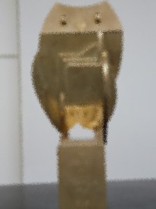 P1000463.downsized.splash2